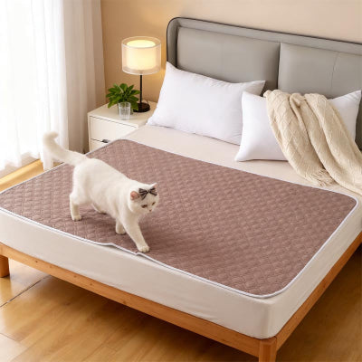 chat marchant sur protection pour matelas sur lit
