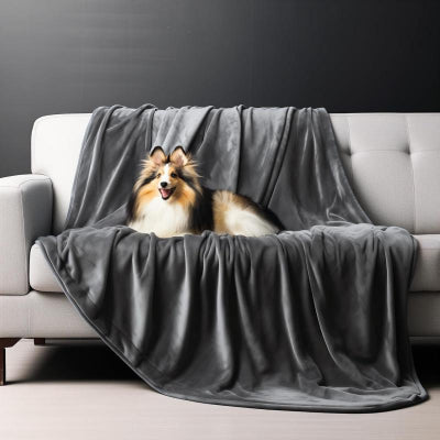 chien couché sur couverture sur canapé