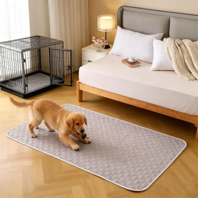 chien jouant sur protection pour matelas