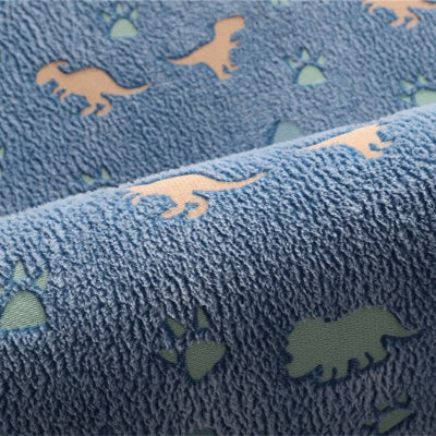 zoom motif dinosaure magique tapis enfant